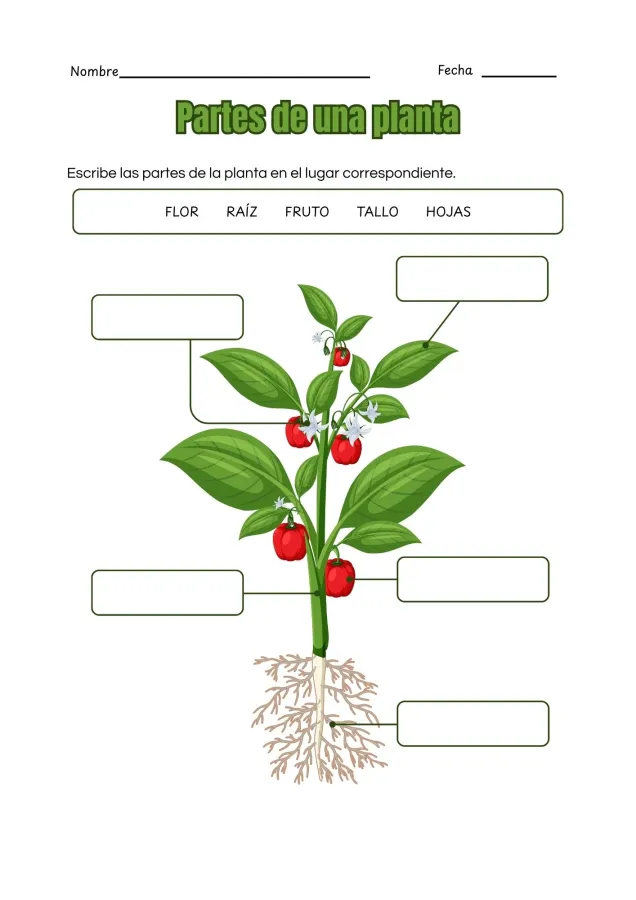 Portada de "Partes de la planta"